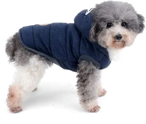 cappotto cane fendi|I migliori cappottini per cani .